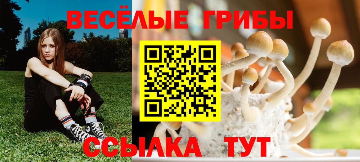 Галлюциногенные грибы мицелий  Вход с VPN  Галлюциногенные грибы мухоморы  Нефтеюганск 
