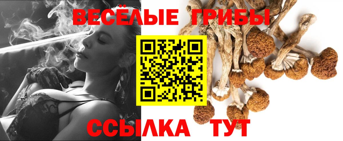 Псилоцибиновые грибы MAGIC MUSHROOMS Нефтеюганск